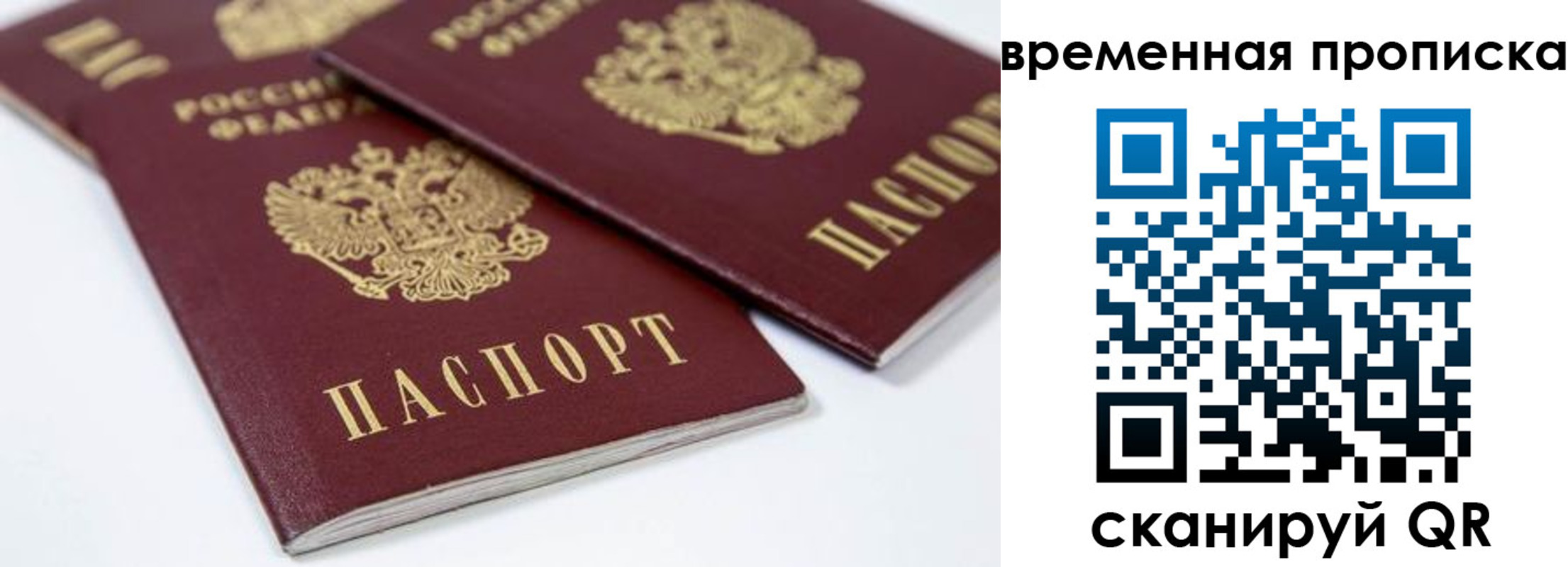 прописка для школы в Суровикино
